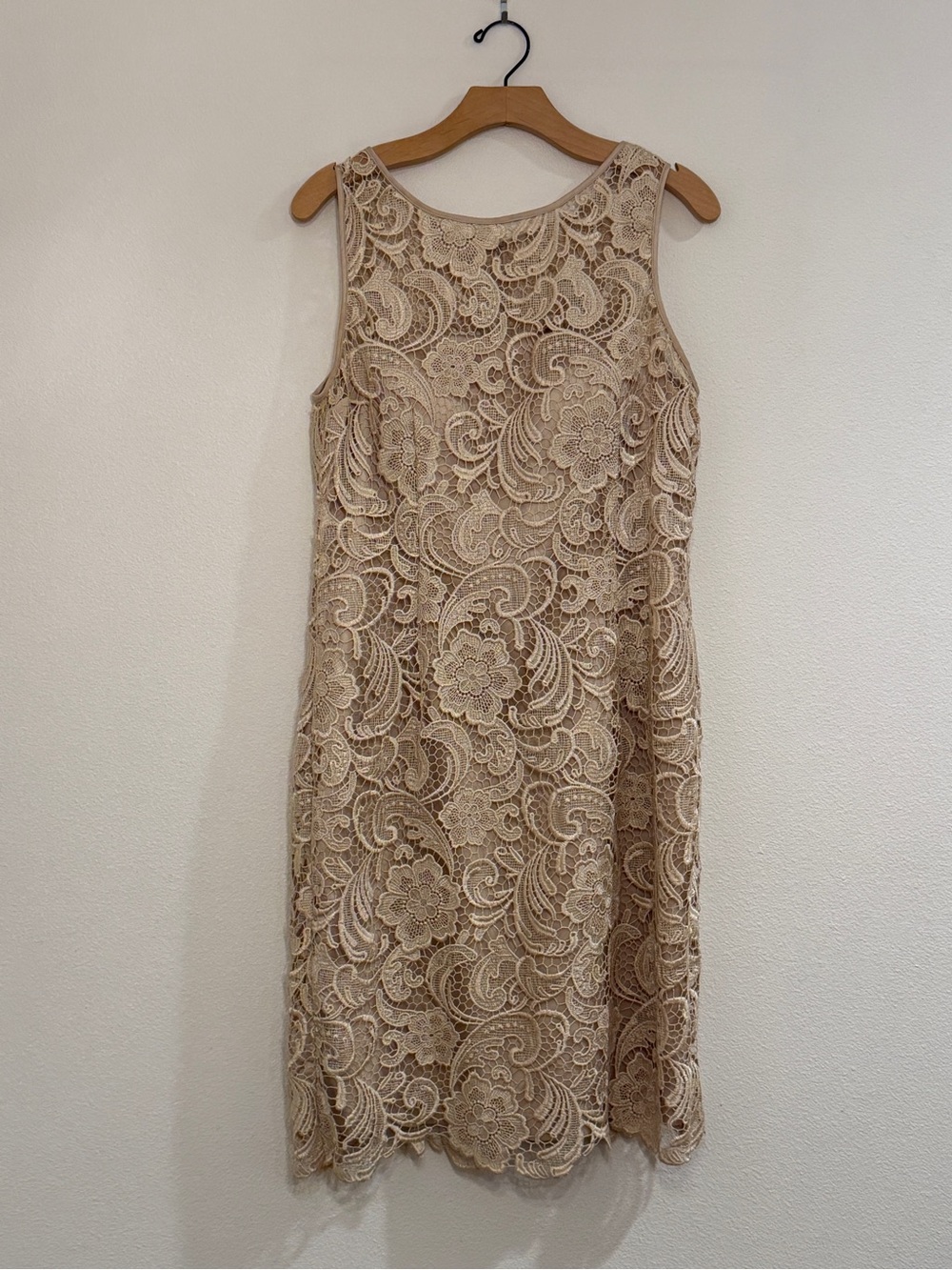 Adrianna Papell Champagne Illusion Yoke Floral Lace Sheath Dress size 12